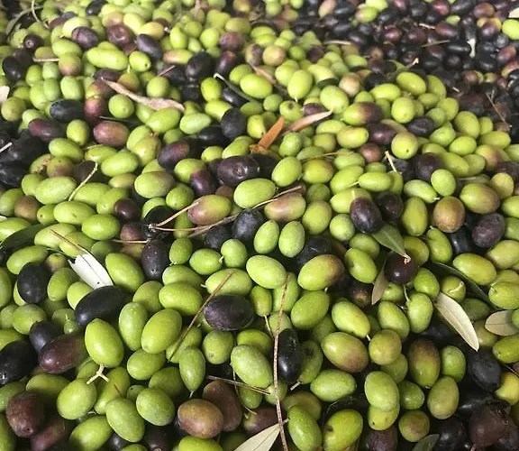 Relais Montemaggiore Oda ve Kahvaltı Bettolle